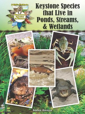 Keystone Species that Live in Ponds, Streams, & Wetlands - ebook